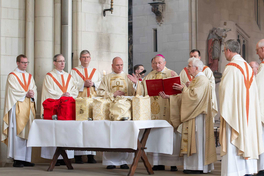 Foto von der Weihe der liturgischen Öle mit Weihbischof Wilfried Theising