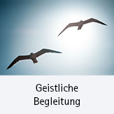 Geistliche Begleitung; Symbolbild :Zwei parallel fliegende Möwen. 
